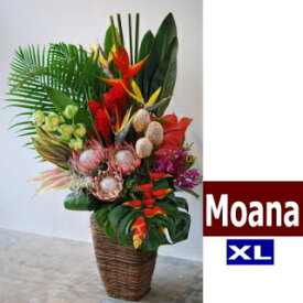 ハワイアンバスケットフラワーアレンジ　Hawaiian Basket Flower "Moana"XL