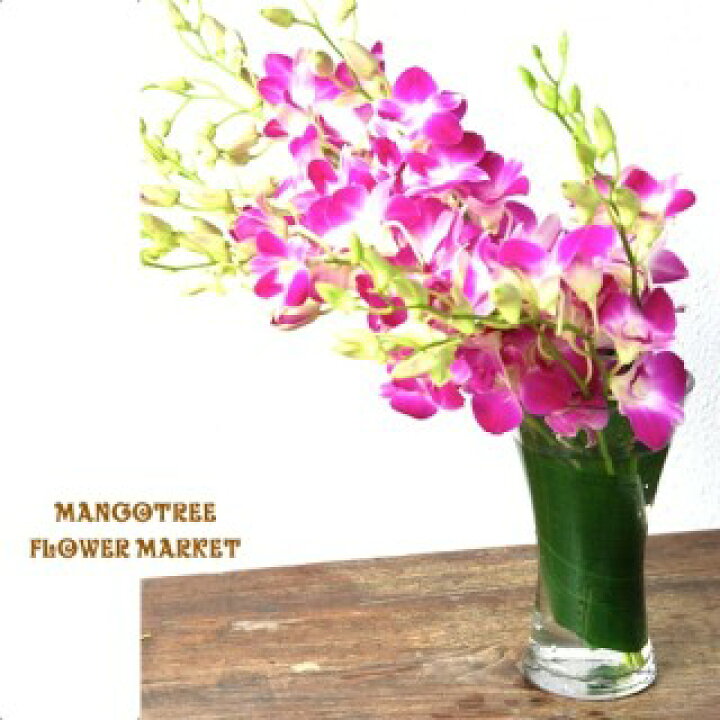 楽天市場 デンファレラベンダーの花束 Lavender Orchid10本 花瓶付き Mangotreeflowermarket