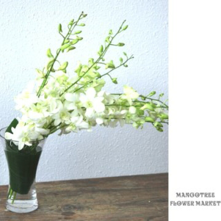 楽天市場 デンファレホワイトの花束 White Orchid10本 花瓶付き Mangotreeflowermarket