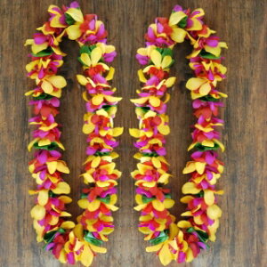 nCACԁ@Wainamalo@twin