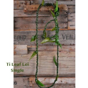 nCACԁ@eB[tC@Ti leaf lei