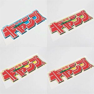 LvCtXebJ[ CAMPwNLvx 19cm AEghA ԗp l LsOJ[ hV[ pfB  Lvpi