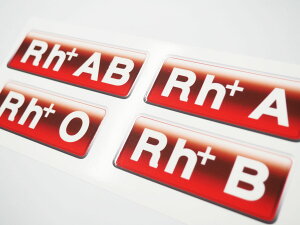 t^ XebJ[ 1 oCN  fJ[ V[ ubh^Cv RH wbg t^XebJ[ t   ً} ~} S J[[X N} J[pi oCNpi wbgp