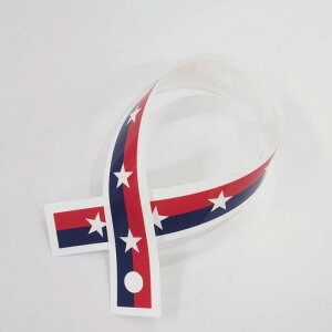 wbg CXebJ[ 1{ AJC V[g ANZg 킢  USA Ԑ AJ SҌ ėp wbgJX^ F  w WFby W