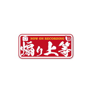 iˁjȂ苭C̃hR XebJ[ 㓙 hCuR[_[ ^撆 10cm hƃJ XebJ[ 1 hR ΍ ZLeBXebJ[ hƃV[ O^撆 hƃJ