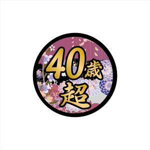 iS[hjʔXebJ[ 40Β 12cm l^  pfB MO j[N fRg _v ώ gbN 20g ^ gbN |Cg ی^ VKi   A