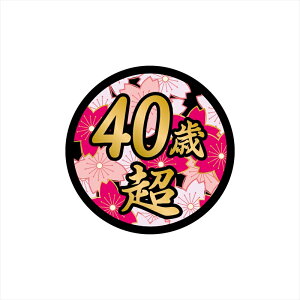 iS[hjʔXebJ[ 40Β 9cm l^  pfB MO j[N fRg _v ώ gbN 20g ^ gbN |Cg ی^ VKi   A