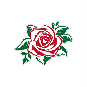 ijKNXebJ[ 11.6cm 1 wbg [Y o ΂  A V[ ROSE  EH[ XebJ[ fJ[  I[goC X[cP[X L[P[X h gN  