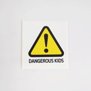 R[VXebJ[ 4cm DANGEROUS KIDS R[Vx ӏ ~^[ AJ wbg O֎ h[ ] oCN XebJ[`[ V[ fJ[ |Cg 