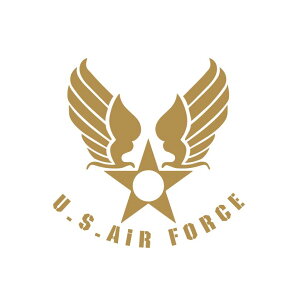 (S[h) US AIR FORCE JbeBOXebJ[ 1 10cm R AJ USA Lv AEghA n[[   GAtH[X wbg