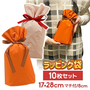 yjz10Zbg bsO  В [17cm×28cm] }` Pi P { v[g Mtg Zt ȒP  MtgobO