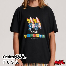 TCSS Tシャツ Critical Slide クリティカルスライド メンズ 半袖Tシャツ TE24012 NANAS TEE 半袖 ティーシーエスエス フロントプリント サーフブランド 男性用 ボックスシルエット