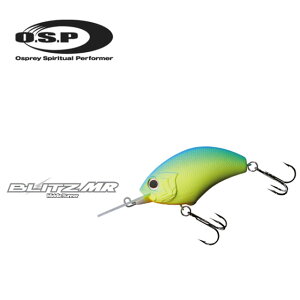 OSP@BLITZ-MR