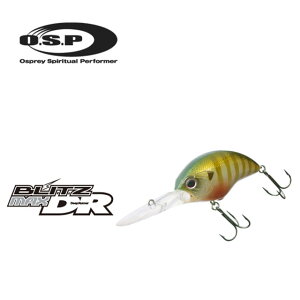 OSP@BLITZ-MAX DR@J[1