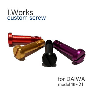 i.Works �A�C���[�N�X�@���C�����[���[ �_�C��16�`21�n�p �J�X�^���l�W