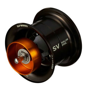 SLP[NX RCS SV 800S Xv[@ubN