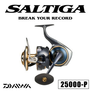 �_�C���@25�\���e�B�K25000-P