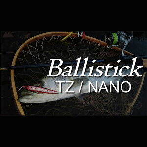 ヤマガブランクス バリスティック 102MH TZ/ナノ (ロッド・釣竿) 価格 