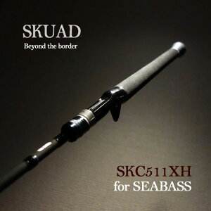 ���W�b�g�f�U�C�� �X�N�A�h SKC511XH-SEABASS