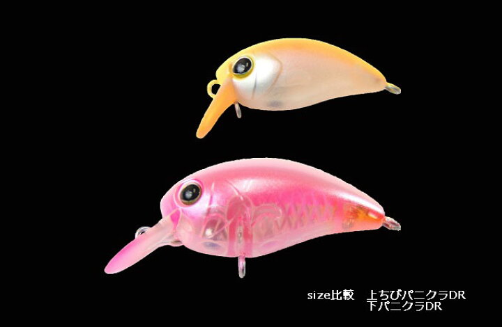 楽天市場 ティモン ちびパニクラ Dr カラー1 アングラーズショップマニアックス