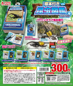 ~j`AW{t}ӁiJugVj ANA} S5Rv[gZbg