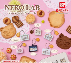 NEKO LAB ~j`A`[ S6Rv[gZbg