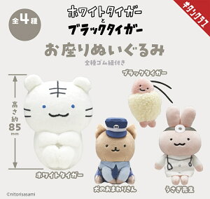 zCg^CK[ƃubN^CK[ ʂ S4Rv[gZbg