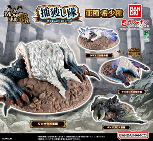 X^[n^[ ߊl E󏭎 S4Rv[gZbg