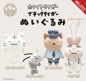 zCg^CK[ƃubN^CK[ ʂ S4Rv[gZbg