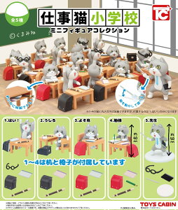 dLwZ~jtBMARNV S5Rv[gZbg