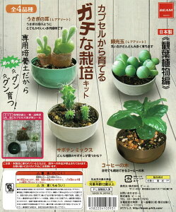 JvZĂK`ȍ͔|Lbg S4Rv[gZbg