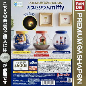 JvZE miffy@S3ރRv[gZbg