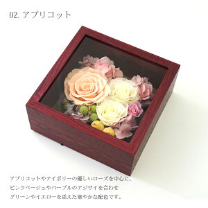 vU[uht[  ͂Ȃ  t[ Ǌ|  Mtg v[g a ސEj j LO oYj ̓ ̓ hV̓ j 蕨 uU[ht[