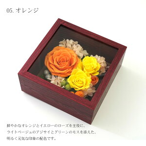 vU[uht[  ͂Ȃ  t[ Ǌ|  Mtg v[g a ސEj j LO oYj ̓ ̓ hV̓ j 蕨 uU[ht[