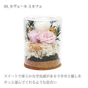 yViz vU[uht[ KXh[ t[ ͂Ȃ ỉ CeA t[ Mtg  pbg v[g  o a Mtg   a ސEj