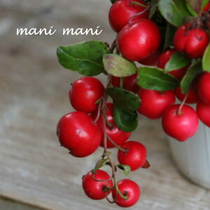 S[eAurbNx[(`FbJ[x[)v@2.5O|bg@񂹐A@[X@ԕc@NX}X@