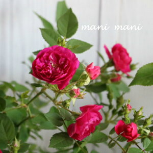 ~jouXC[g`Ibgv2.5`3.5c@KN@ԕc