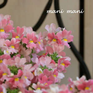 hlVA[e@uG[kvo̍@3.5|bgc@Â@QuiKg@񂹐A@[X@ԕc@؂₩