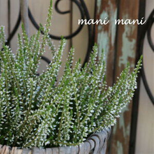 J[i K[fK[Y uO[×zCgvF^Cv@2.5`3|bgc 񂹐A@A@ԕc@Ԓd