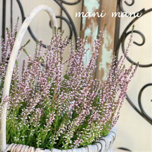 J[i@K[fK[Y uO[×sNvC^Cv@2.5`3|bgc 񂹐A@A@ԕc@Ԓd