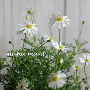 uLJuzCeBv2.5`3.5c@ΑN@@񂹐A@A@ԕc@h