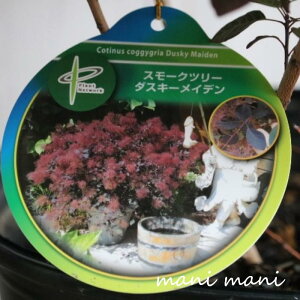 X[Nc[u_XL[Cfv8|bgc@A@V{c[@lC@hCt[