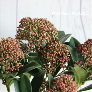 XL~AusNh[tv3.5O|bgc@lC@ԕc@Vi@񂹐A