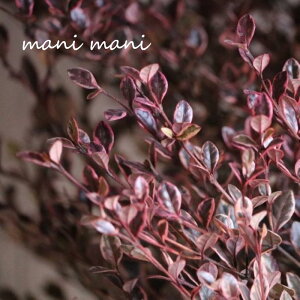 tH~^Xu}WbNhSv2.5`3|bgc@Β؁@J[[t@񂹐A@A@Ԓd@c