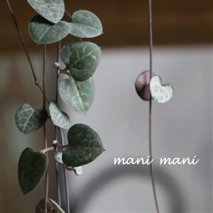 ZyMAun[gJYv2.5`3c@fB[n[g@u`F[@A@c@񂹐A