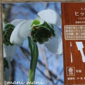 y󏭕iz@d炫Xm[hbv wqb|ex3Zbg  A  A