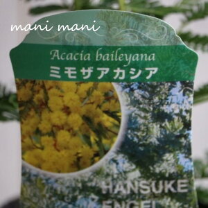 AJVAu~UAJVAv3.5O|bgc@lC@lG炫@A@A