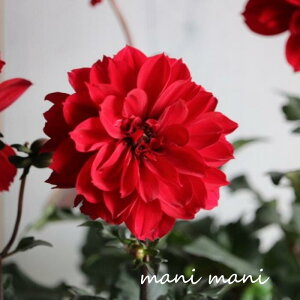 _A xOf u`R[g bhv3O|bgc A@A@ԕc@Ԓd@񂹐A