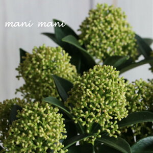 XL~A@uzCgh[tv3.5d|bgc@lC@ԕc@񂹐A