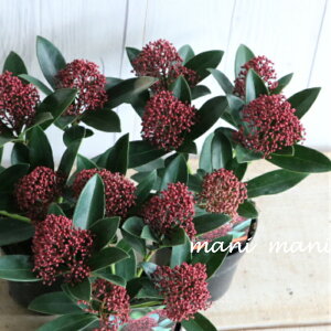 XL~Aubhh[tv3.5d|bgc@lC@ԕc@Vi@񂹐A